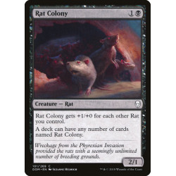 Rat Colony // Colonia de ratas