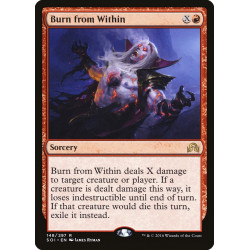 Burn from Within // Arder...