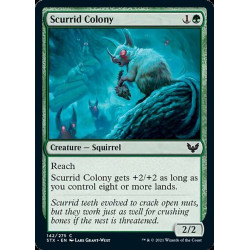 Scurrid Colony // Colonia...