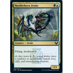 Needlethorn Draker // Draco...