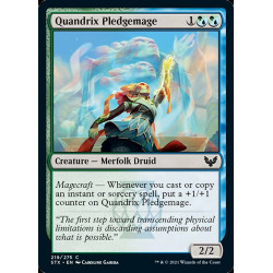 Quandrix Pledgemage //...