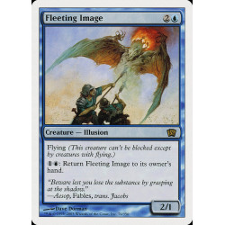 Fleeting Image  // Imagen...
