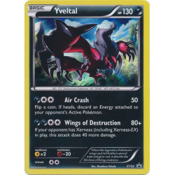 Yveltal (Holo Rare)