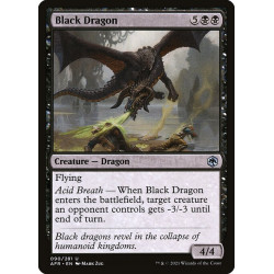 Black Dragon // Dragón negro