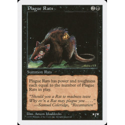 Plague Rats // Plaga de ratas