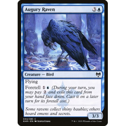 Augury Raven // Cuervo del...