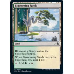 Blossoming Sands // Arenas...