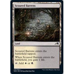 Scoured Barrens // Yermos...