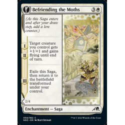 Befriending the Moths (FOIL)