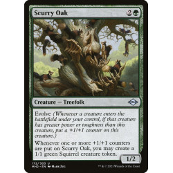 Scurry Oak // Roble ardillero