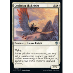 Coalition Skyknight //...