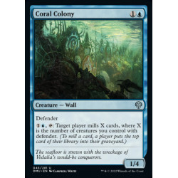 Coral Colony // Colonia de...