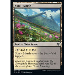 Sunlit Marsh // Marjal...