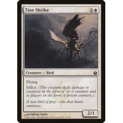 Tine Shrike // Alcaudón astado