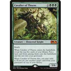 Cavalier of thorns //...