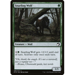 Snarling Wolf // Lobo gruñido