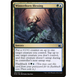 Winterthorn Blessing//...