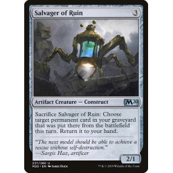Salvager of ruin //...