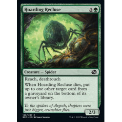 Hoarding Recluse // Reclusa...