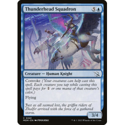 Thunderhead Squadron //...