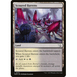 Scoured Barrens // Yermos...