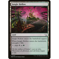 Jungle Hollow // Hondonada...