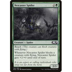 Netcaster spider // Araña...