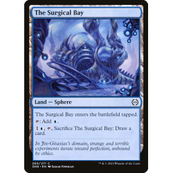 The Surgical Bay // El...