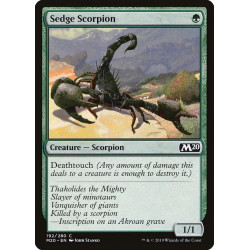Sedge scorpion // Escorpión...