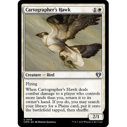 Cartographer's Hawk //...