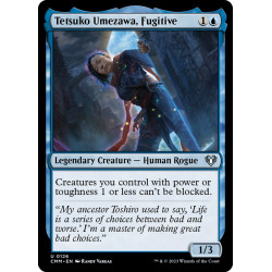 Tetsuko Umezawa, Fugitive...