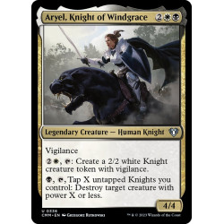 Aryel, Knight of Windgrace...