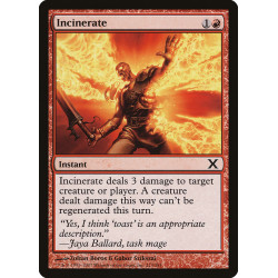 Incinerate // Incinerar