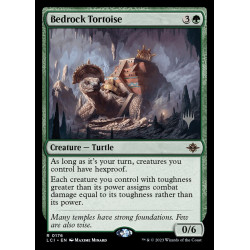 Bedrock Tortoise // Tortuga...