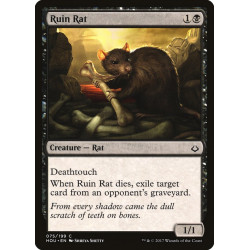 Ruin Rat // Rata de la ruina