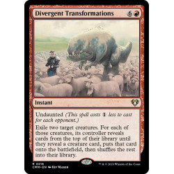 Divergent Transformations...