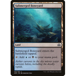 Submerged Boneyard //...