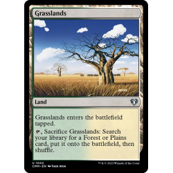 Grasslands // Pradera