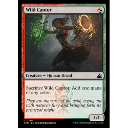 Wild Cantor // Cantora salvaje