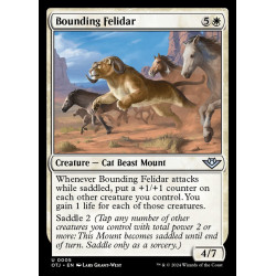 Bounding Felidar (FOIL)