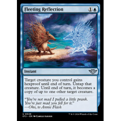 Fleeting Reflection //...