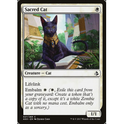 Sacred Cat // Gato sagrado