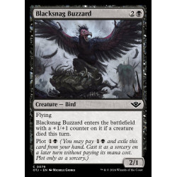 Blacksnag Buzzard // Buitre...