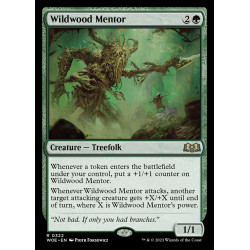 Wildwood Mentor // Mentor...