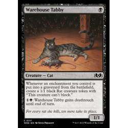Warehouse Tabby // Gata...