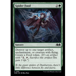 Spider Food // Comida de...