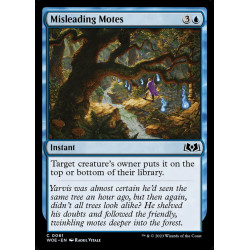 Misleading Motes // Llamas...