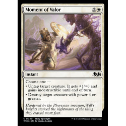 Moment of Valor // Momento...