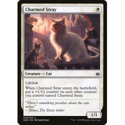 Charmed stray // Gato...