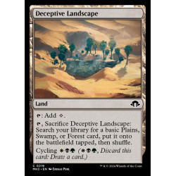 Deceptive Landscape //...